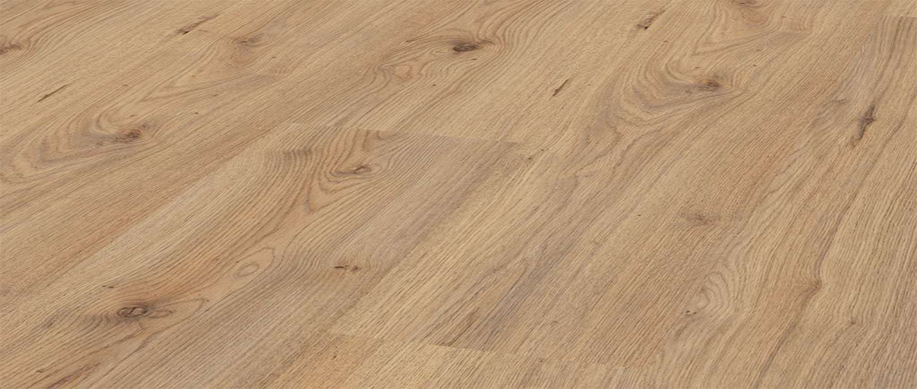D3530 Millennium Oak千年橡木