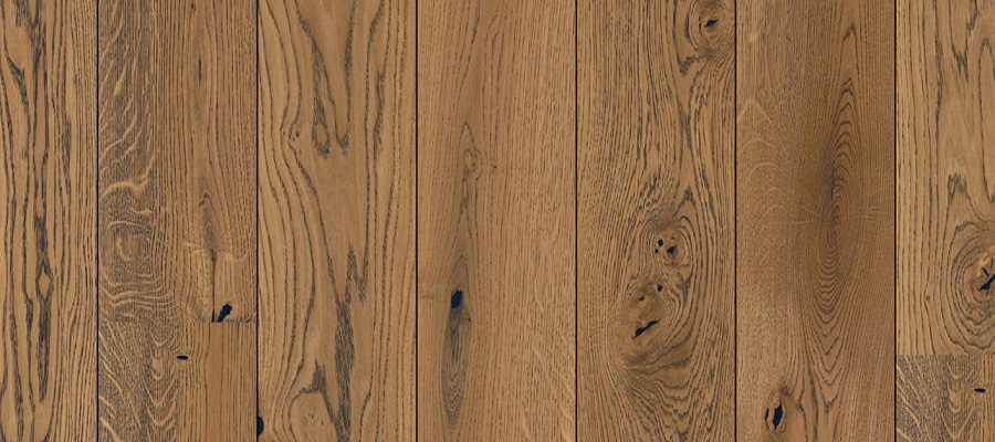GENT181Oak Alamo阿拉摩橡木