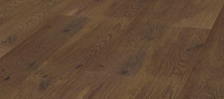 Barnwell Oak 巴威爾橡木