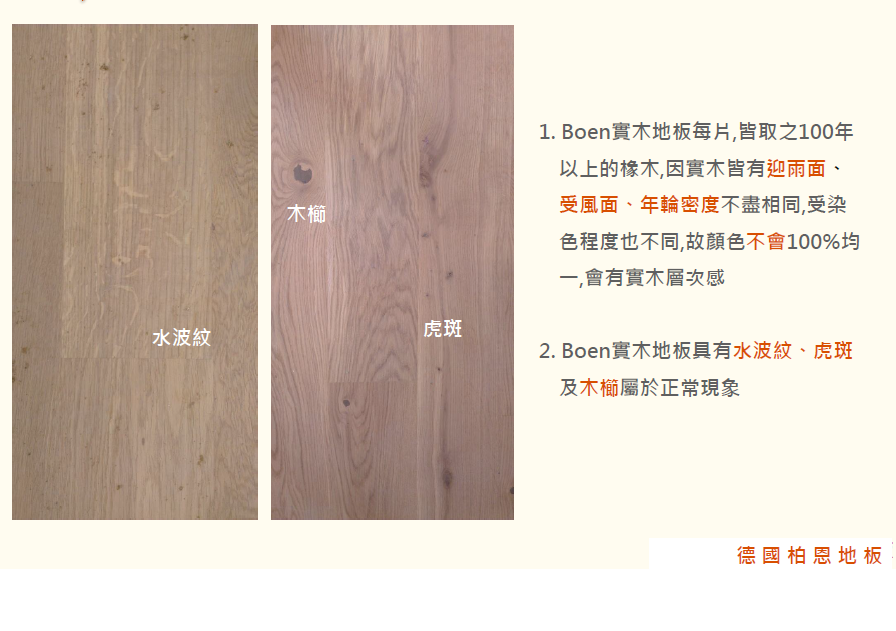 水波紋及木櫛及虎斑結構面 水波紋及木櫛及虎斑結構面