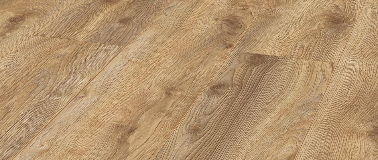 Macro Oak Nature 天然宏觀橡木