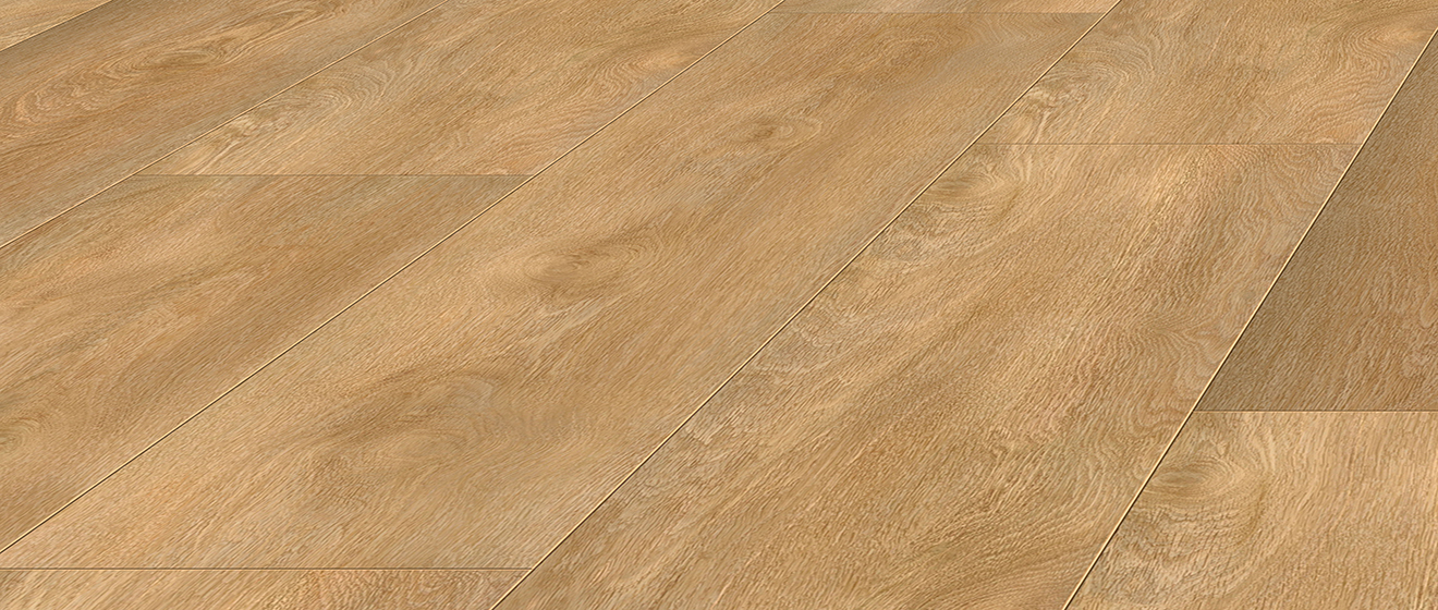 KIWI D81092Absolute Oak Brown絕對棕色橡木