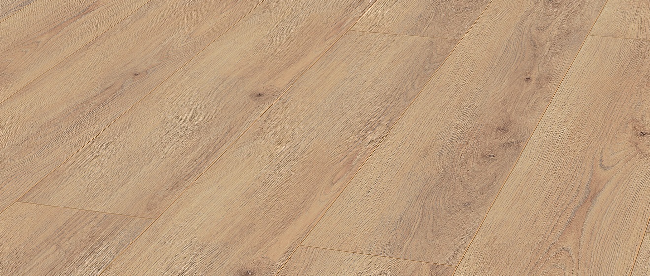 D80592Norfolk Oak諾福克橡木