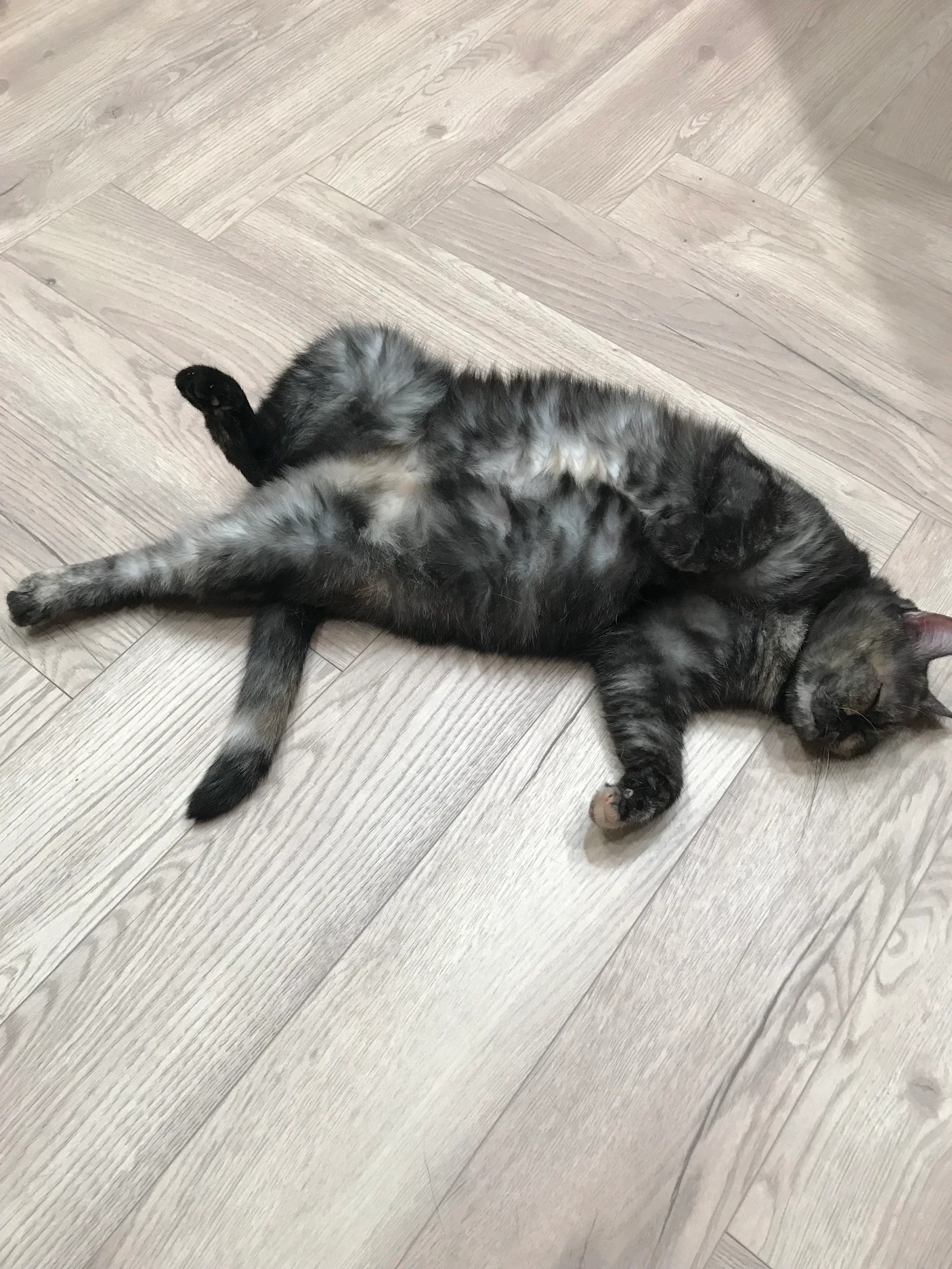 湖二-Wen Chen Lee2