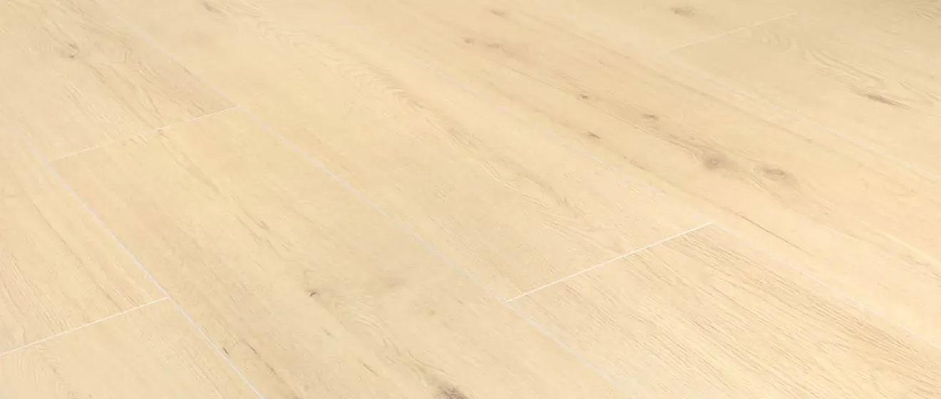 D80641Chur Oak 庫爾橡木