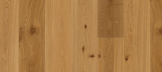 GENT181 Oak Animoso精選橡木