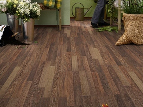 D2930 WENGE GABUN 田野溫格